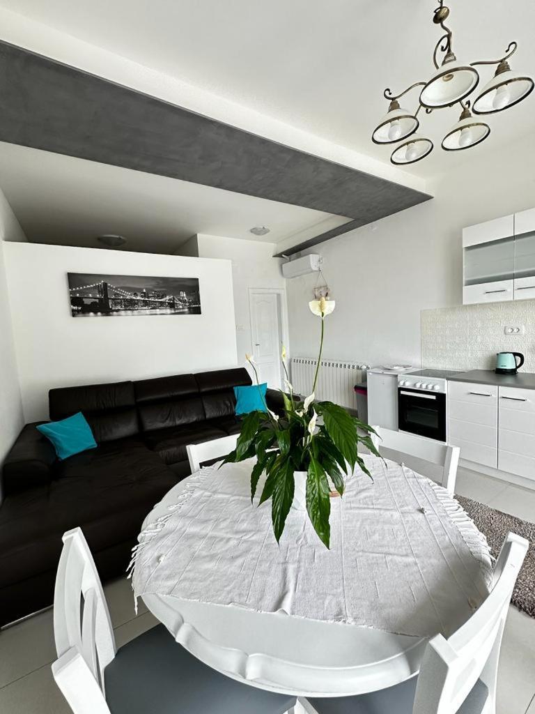 Apartments Boka Pearl كوتور المظهر الخارجي الصورة