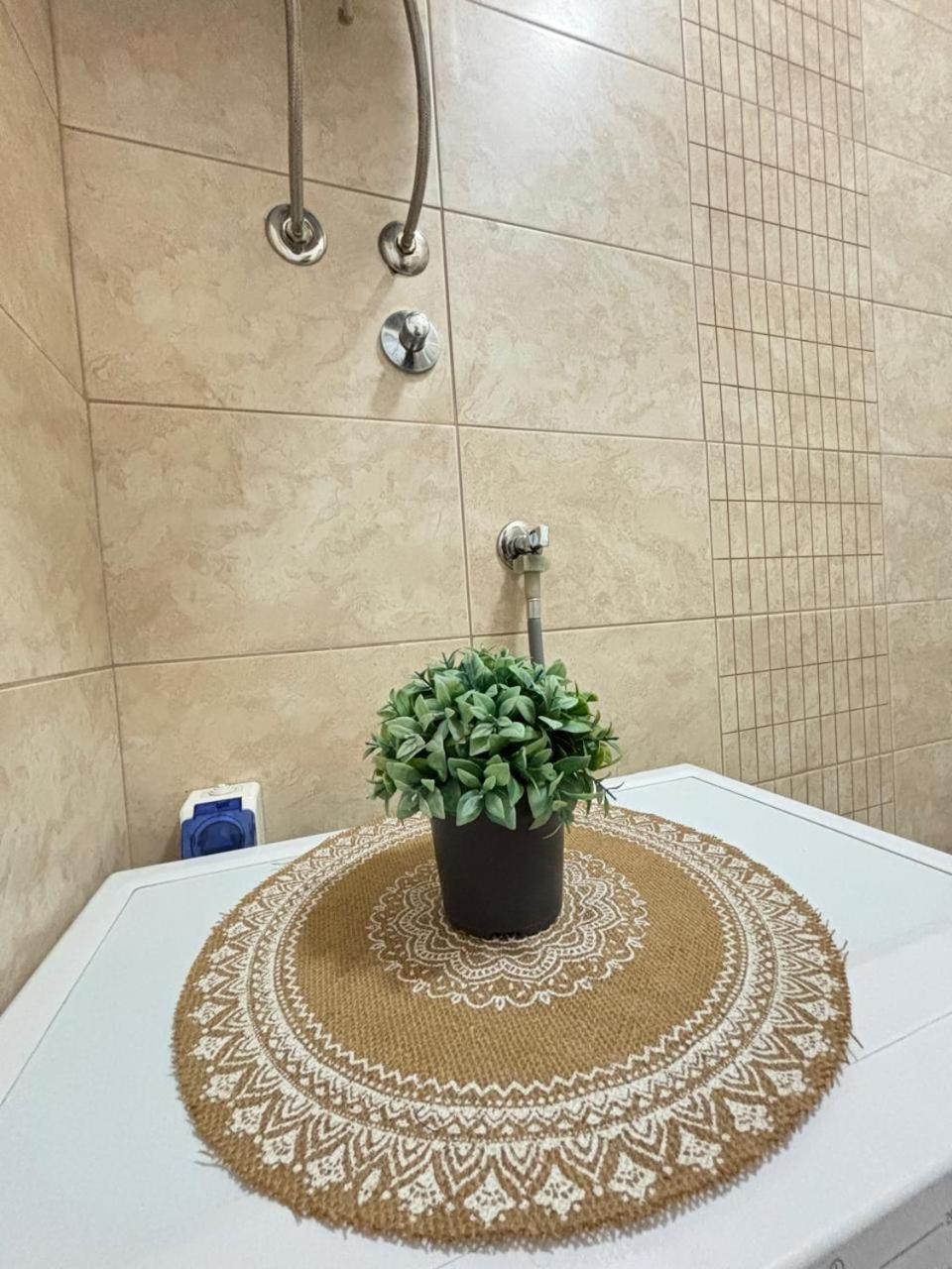 Apartments Boka Pearl كوتور المظهر الخارجي الصورة